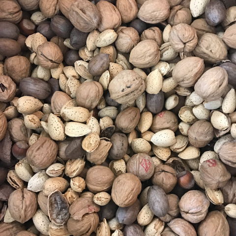 seeds and nuts