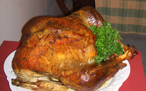 turkey